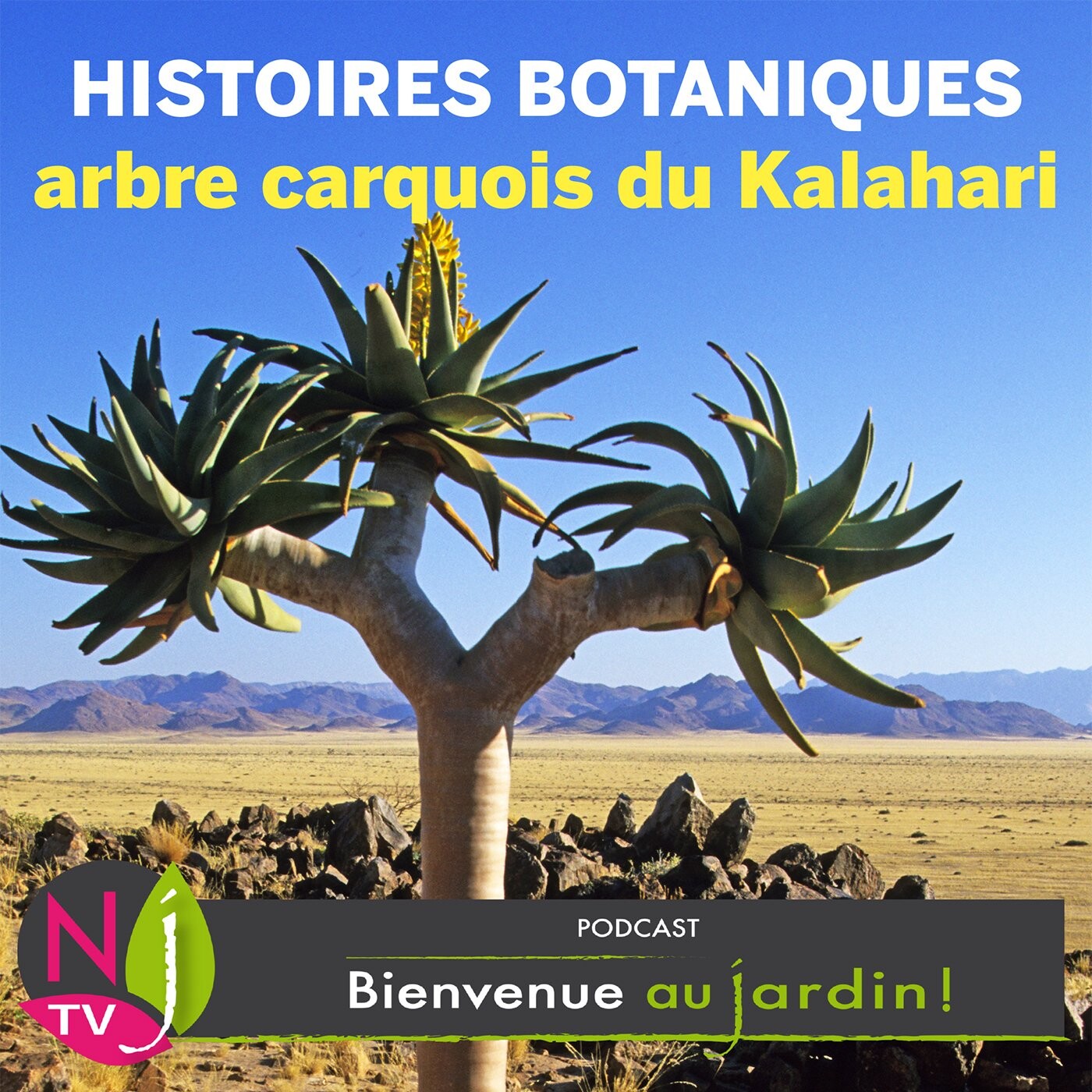 BIENVENUE AU JARDIN