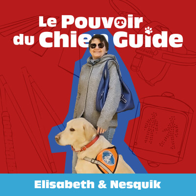 Surmonter l'isolement grâce aux chiens guides : le parcours inspirant d'Elisabeth et ses précieux alliés cover