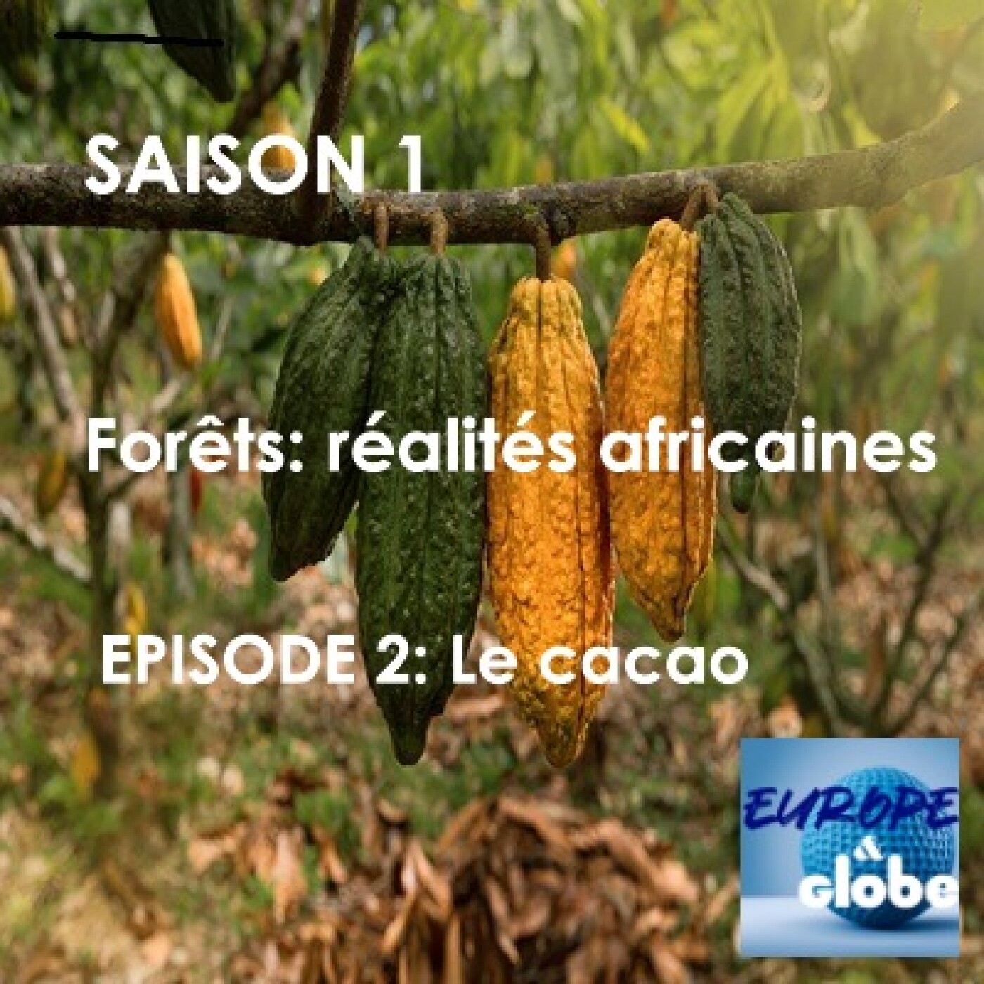Europe and Globe, The podcast that explores today\'s world and changes the way we look at tomorrow\'s challenges