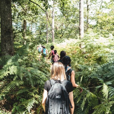 Fontainebleau : la rando sportive qui en met plein la vue ! cover