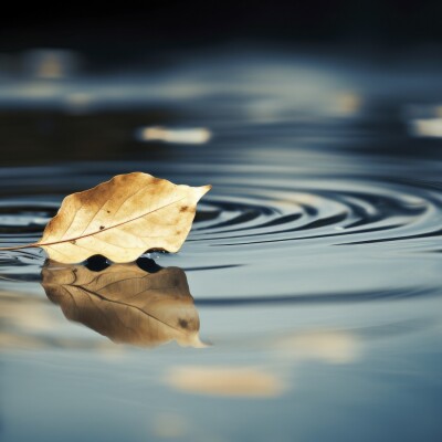 S1E13 - Mettre à profit les interstices cover