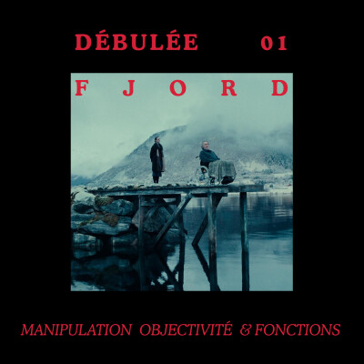 Débulée 01 : Fjord cover