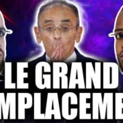 ÊTES-VOUS GRAND-REMPLACÉ ?! (Enquête #2) cover