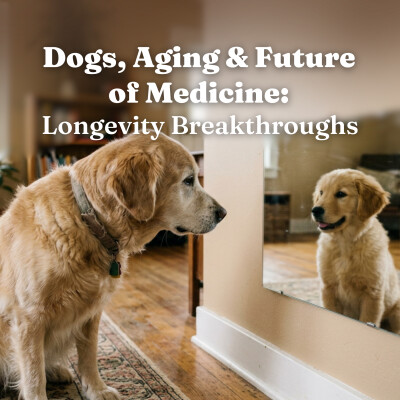 Dogs, Aging & the Future of Medicine: What We’re Learning from Canine Longevity, Health Science & Breakthroughs for Longer Lives cover
