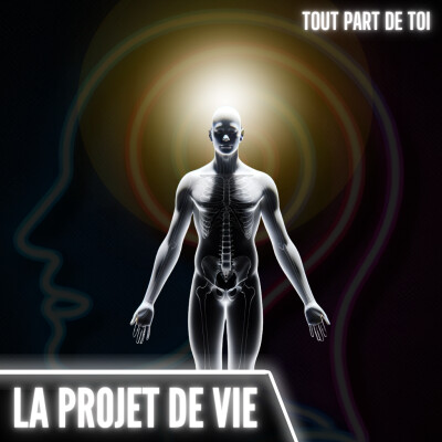 LE PROJET DE VIE : c'est la base de tout mais personne n'en parle cover