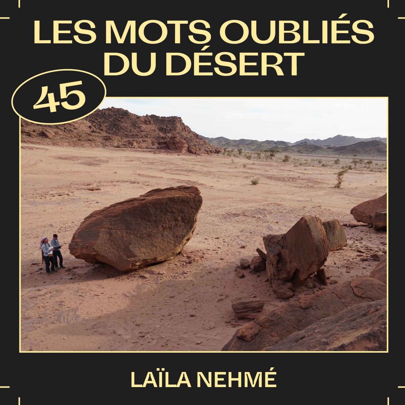 #45 — Les mots oubliés du désert, avec Laïla Nehmé