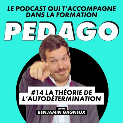 #14 La théorie de l'autodétermination cover