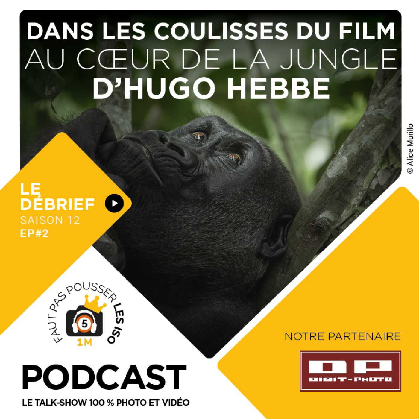 S1202 - LE DÉBRIEF - DANS LES COULISSES DU FILM AU CŒUR DE LA JUNGLE D'HUGO HEBBE
