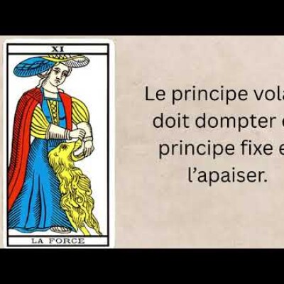 Symbolisme de la lame “La Force” du tarot de Marseille - A. Forget (www.arca-revue.com) cover