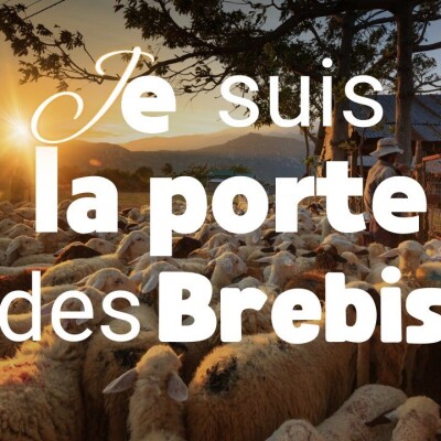 Parole et Évangile du jour | Dimanche 30 avril • Le Seigneur est la porte ! cover