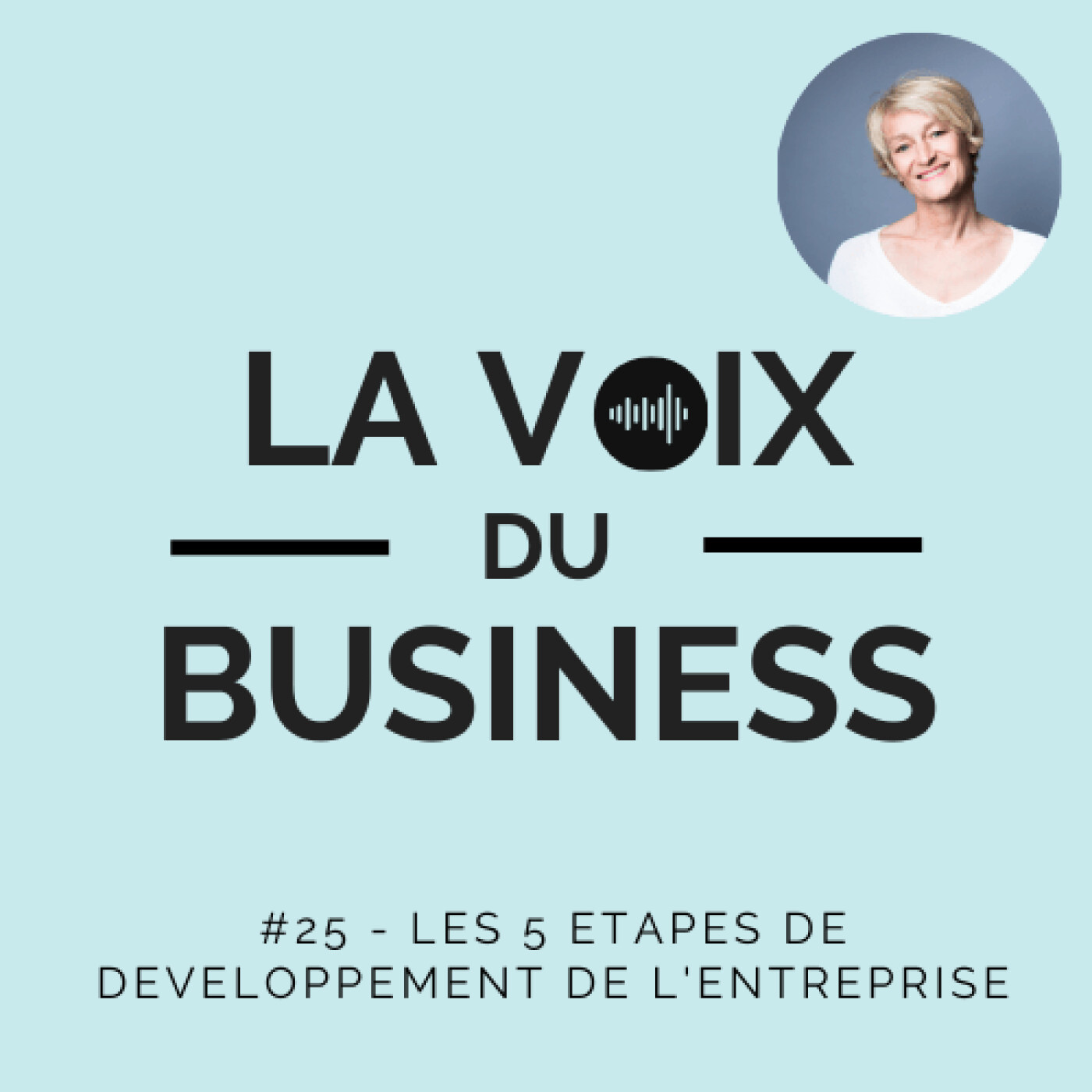 #25- Les 5 étapes de développement de l'entreprise