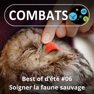 BEST OF D'ÉTÉ #06 : Soigner la faune sauvage 6/13 cover