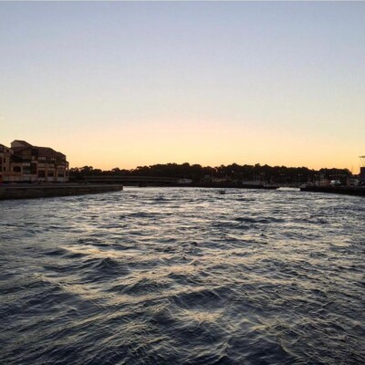 #9. Le deuil d'un parent : un chemin à parcourir. cover