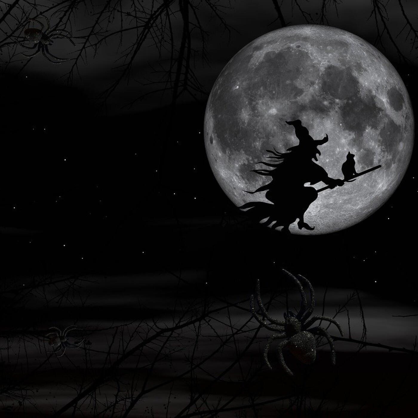 Wintzenheim : Une semaine spéciale Halloween au Château du Hohlandsbourg episode artwork