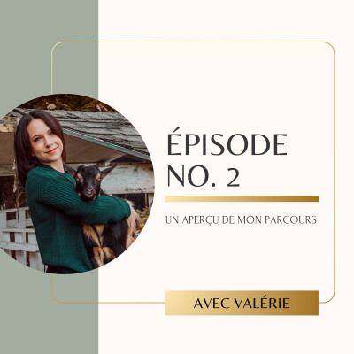 Épisode 2 - Aperçu de mon parcours cover