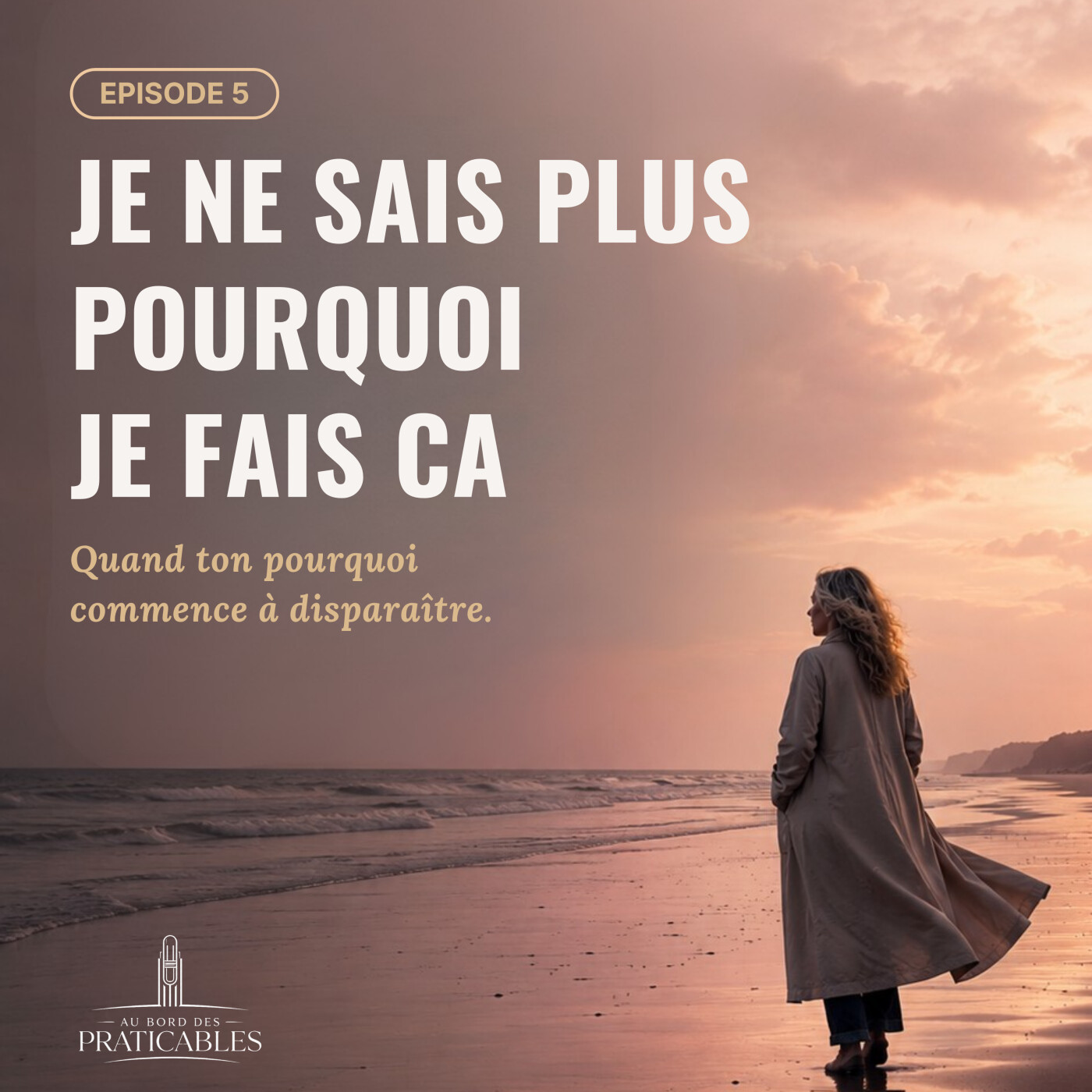 ️Episode 42 : Je ne sais plus pourquoi j'entraîne episode artwork