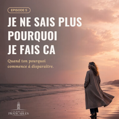 🎙️Episode 42 : Je ne sais plus pourquoi j'entraîne cover