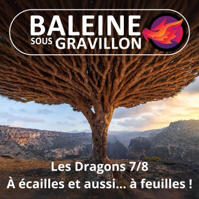 S07E16 Les Dragons 7/8 : À écailles et aussi... à feuilles ! (Léah Thomas-Bion) cover