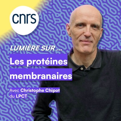 Lumière sur... Les protéines membranaires cover