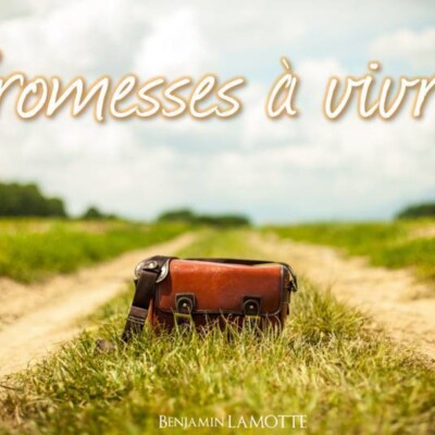 Promesse à vivre : Toutes choses concourent au bien de ceux qui aiment Dieu cover