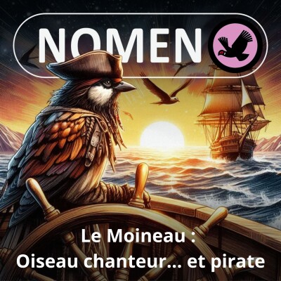 S05E14 Le Moineau : Oiseau chanteur... et pirate cover