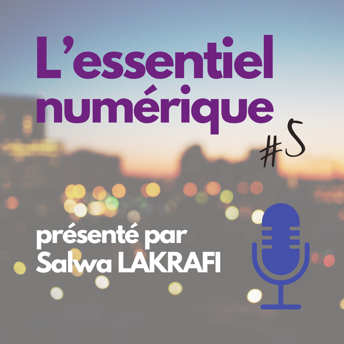 Promesses de campagne : Comment maîtriser le millefeuille territorial pour les Municipales 2026