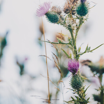 🎙️ Interview • Louise vroylandt — L’avenir des sols, l’importance de leur richesse, leur fertilité 🌱 cover