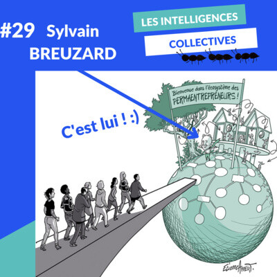 #29 -La PERMAENTREPRISE : un modèle de développement gagnant-gagnant. (pour qui?/pour quoi?) avec Sylvain BREUZARD cover