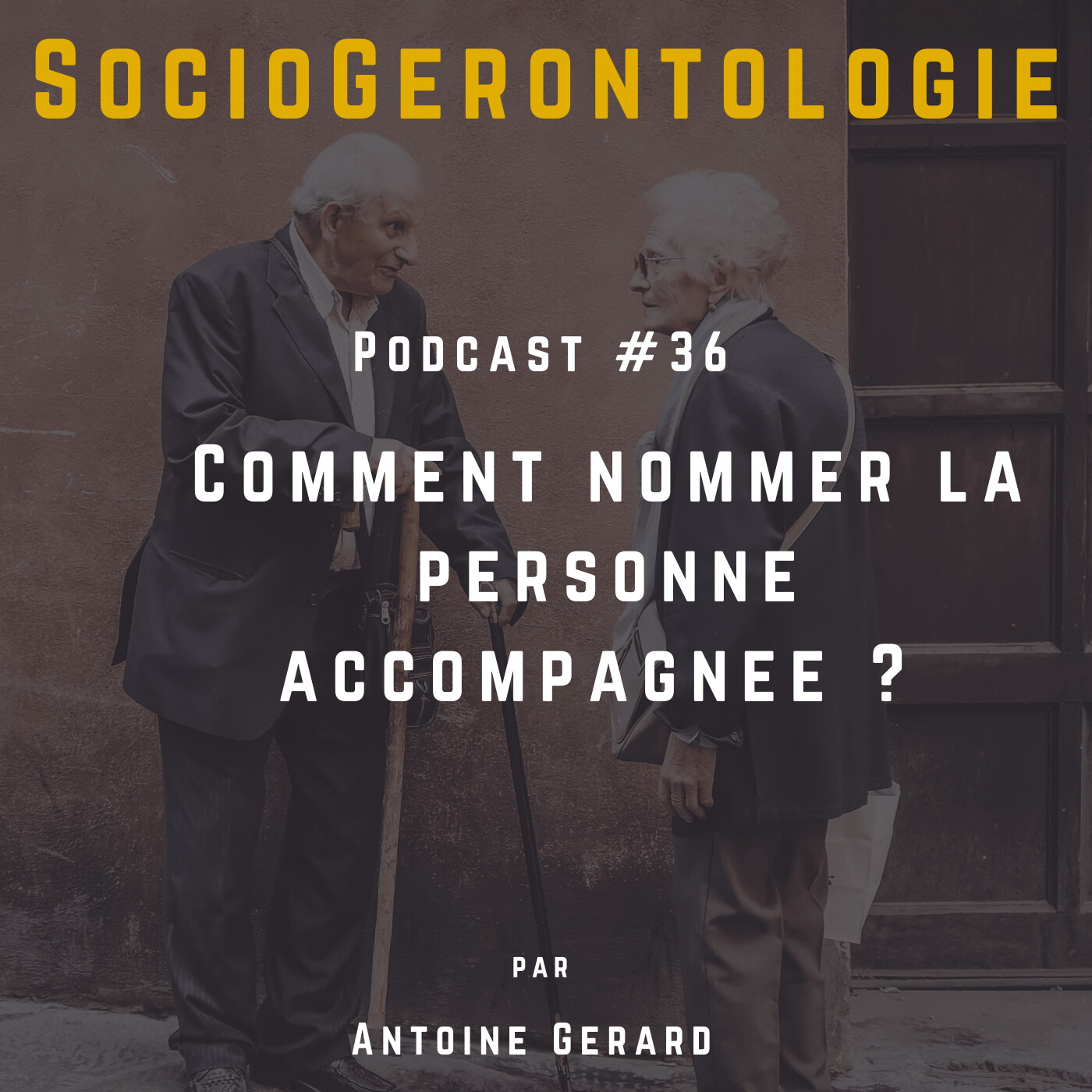 SocioGérontologie