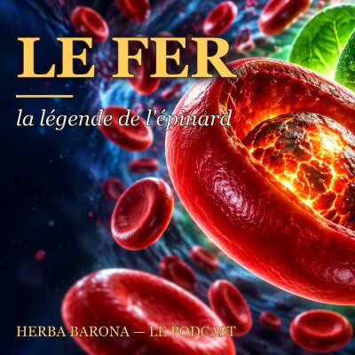 L'épinard et la virgule cover