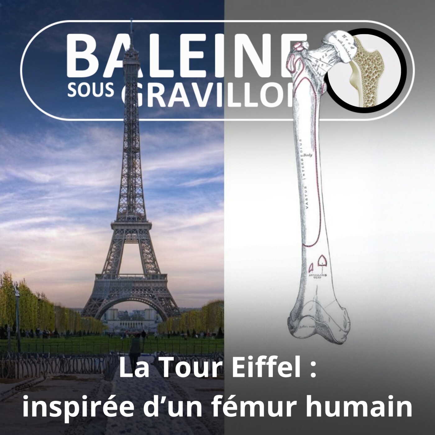 S01E10 La Tour Eiffel, une dame de fer inspirée… du fémur humain ! episode artwork