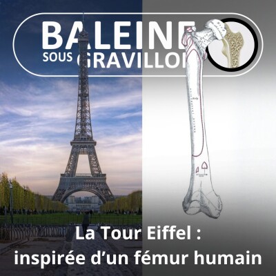 S01E10 La Tour Eiffel, une dame de fer inspirée… du fémur humain ! cover