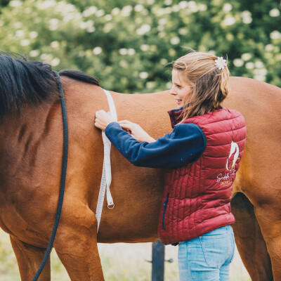 🎙️ Saddle Fitting : arçons, panneaux, les erreurs qui coûtent cher avec Chloé Feron Saddle Fitter cover
