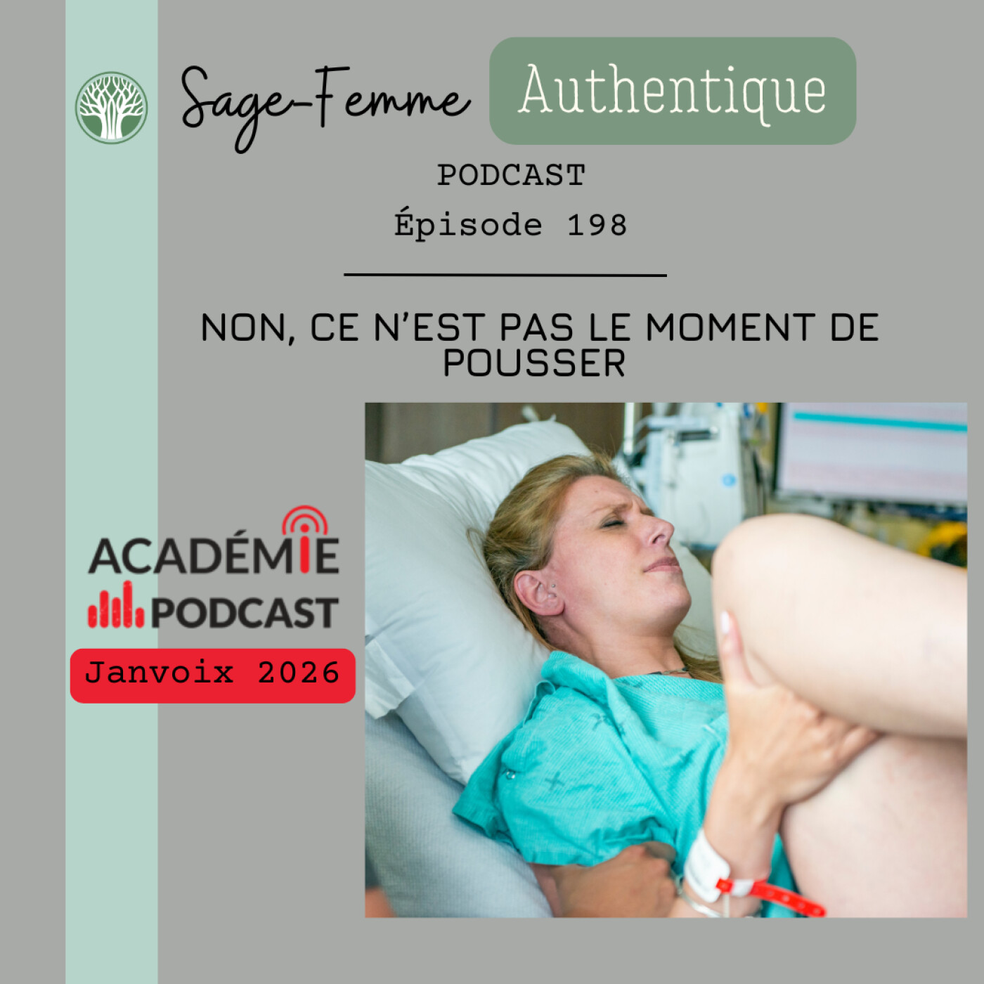 Non, ce n’est pas le moment de pousser EP198 Non, ce n’est pas le moment de pousser EP198