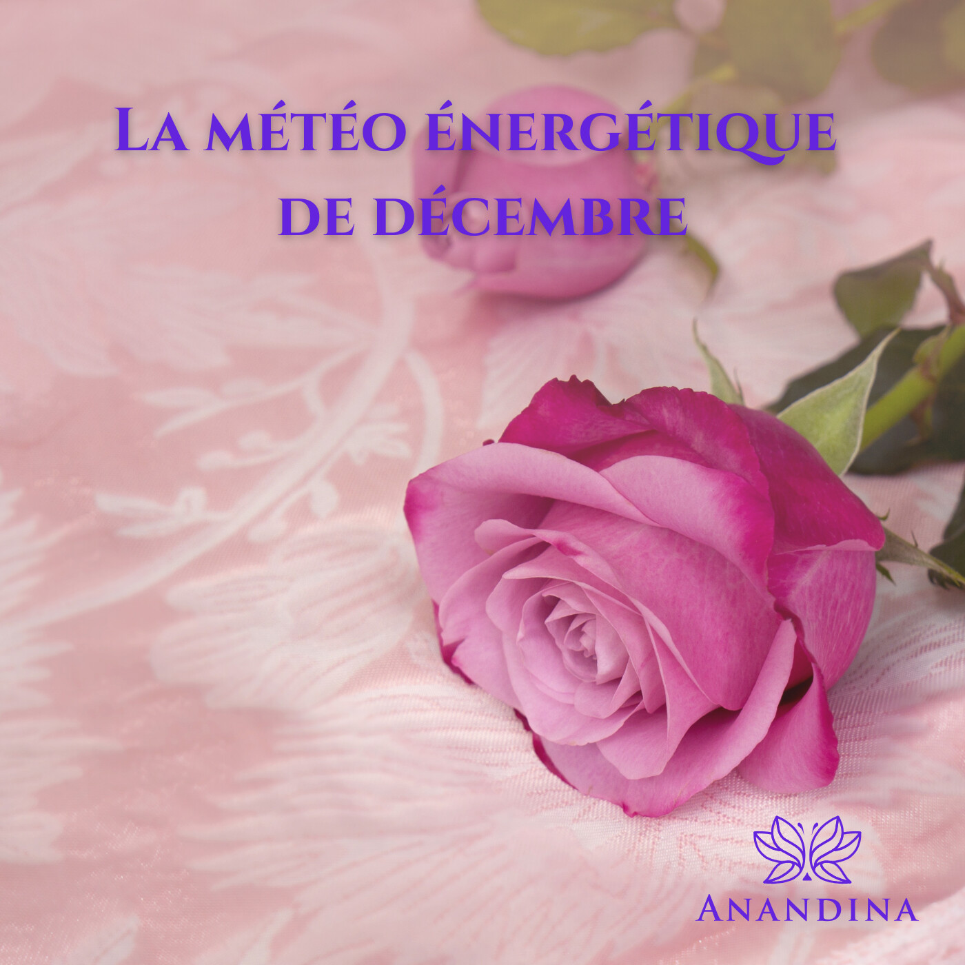 Anandina, Accompagnatrice de potentialités