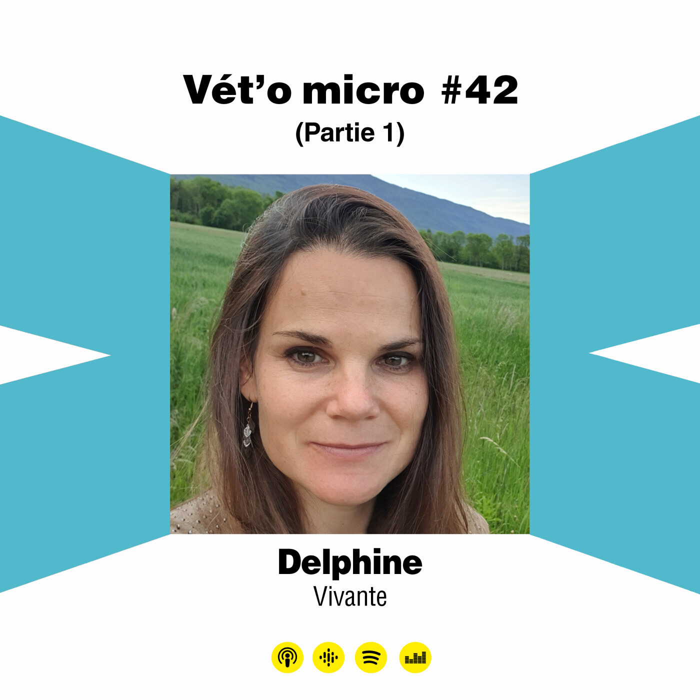Vet\'o micro