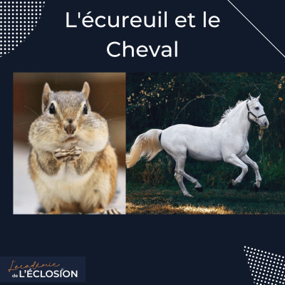 Es-tu un entrepreneur ÉCUREUIL ou un CHEVAL? cover