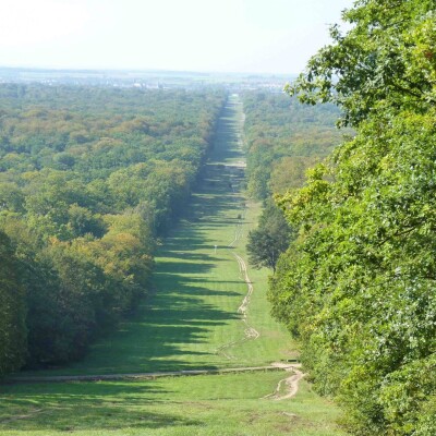 C'est l'une des plus belles forêts de France ! cover