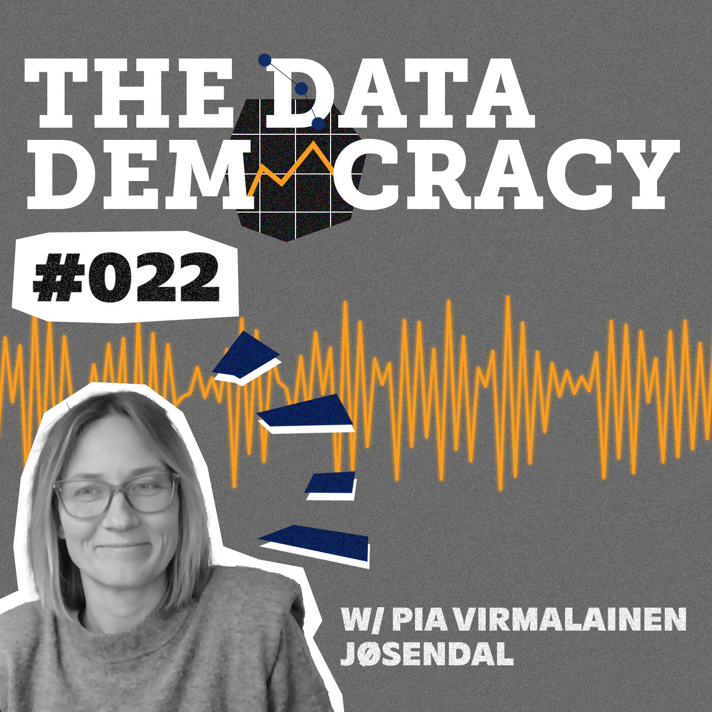 The Data Democracy
