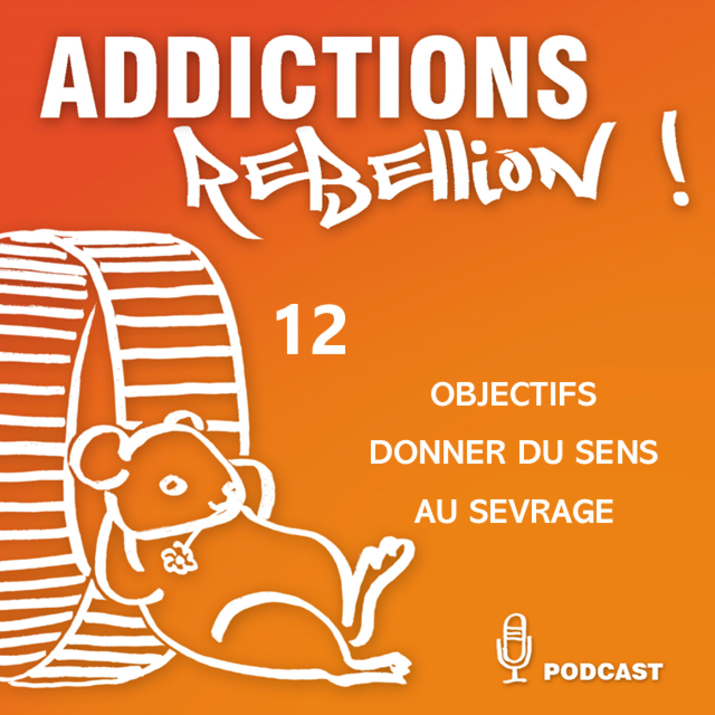 Addictions Rébellion ! Objectifs et ressources Episode 12/15 episode artwork