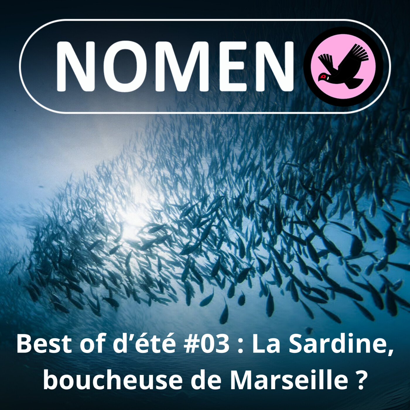 BEST OF D'ÉTÉ #03 : Surpêchée, la Sardine ne bouchera plus le port de Marseille