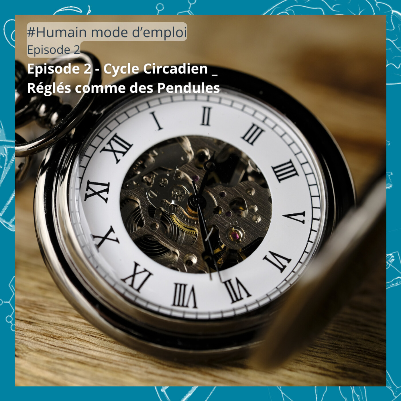 HME #2 - Cycle Circadien : Réglés comme des Pendules