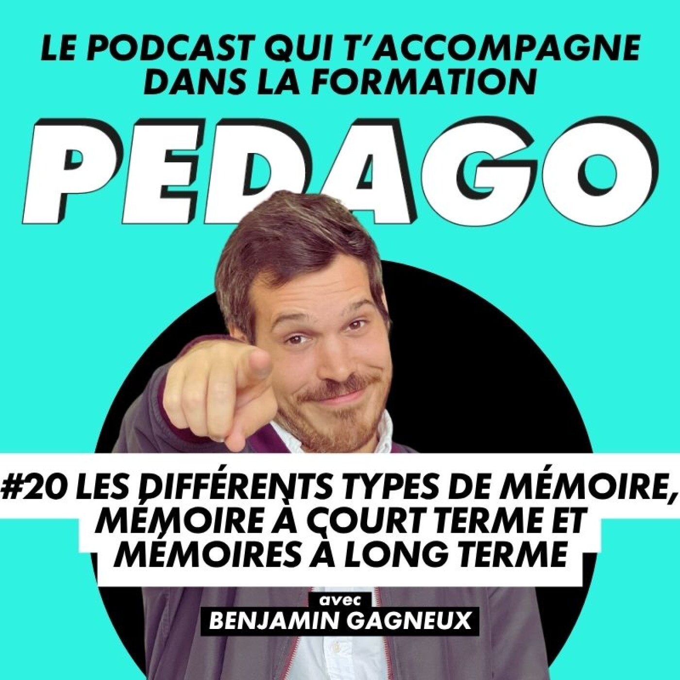 #20 Les différents types de mémoire : mémoire à court terme et mémoires à long terme episode artwork