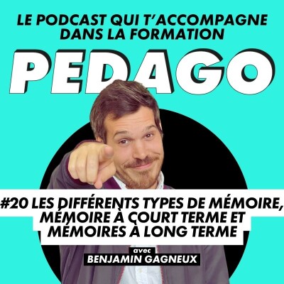 #20 Les différents types de mémoire : mémoire à court terme et mémoires à long terme cover