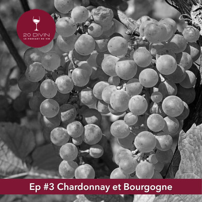 20DIVIN Episode 3: Chardonnay & Bourgogne cover