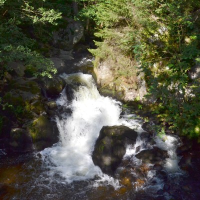Le Saut des Cuves, au coeur des Vosges cover