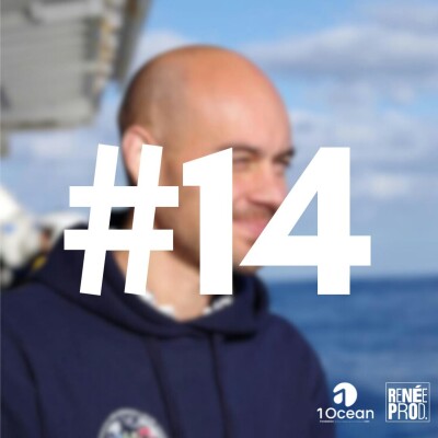 Plongeon avec les baleines cover