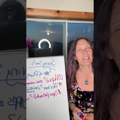 Nature's Mysteries Medicine Show with Michele ~ Episode 25: Types of Plants and Pollinators - cover