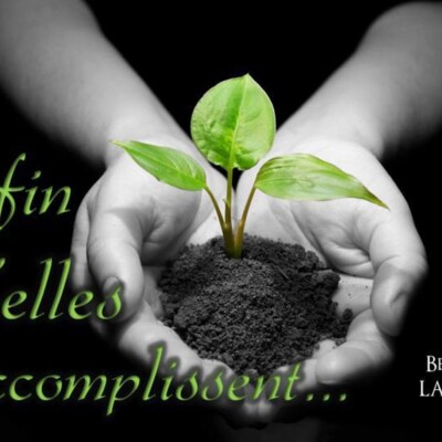 Afin qu’elles s’accomplissent… cover