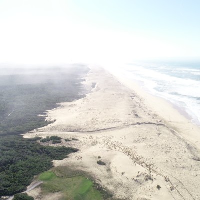 Méditation : comme si vous étiez en forêt du littoral cover